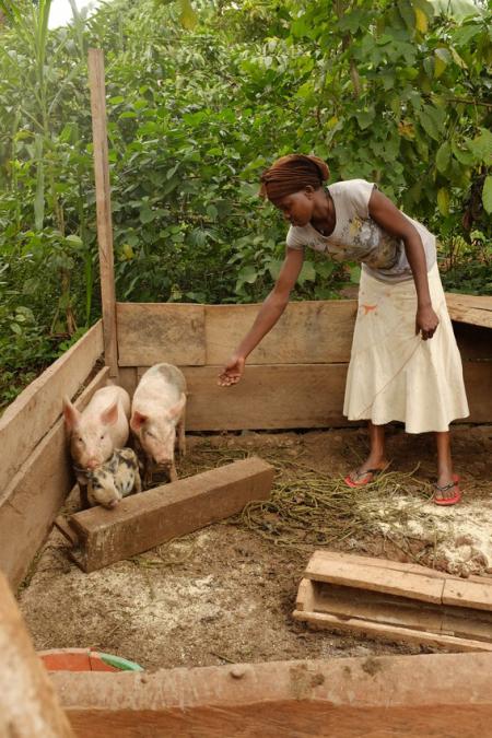 Resty from Uganda tending to her pigs Resty from Uganda tending to her pigs