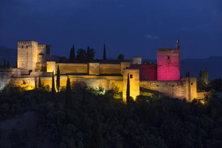 Día Internacional de la Niña - Alhambra de Granada Día Internacional de la Niña - Alhambra de Granada