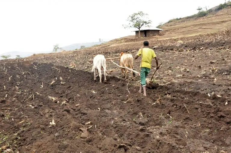 Fenómeno El Niño Ayuda Humanitaria Plan International 9123