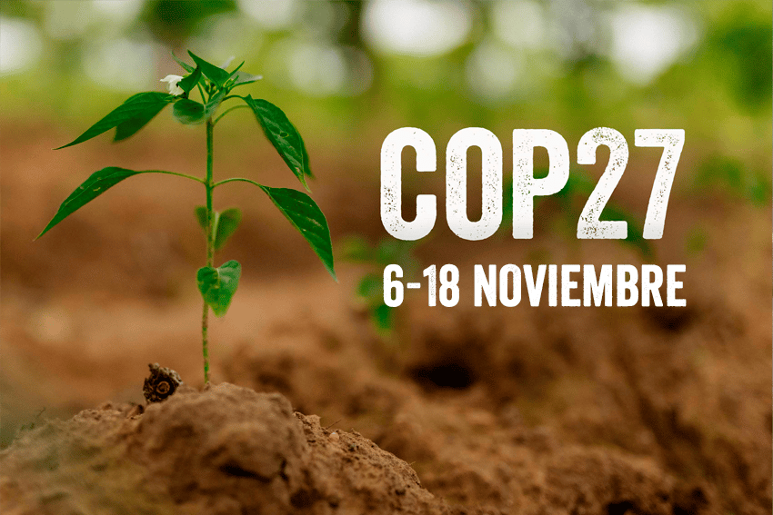 COP27 Plan International
